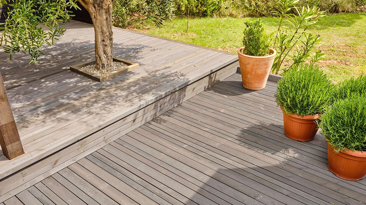 Lektegulv på terrasse i Provence med nedsenket oliventre og planter i terrakottakrukker.