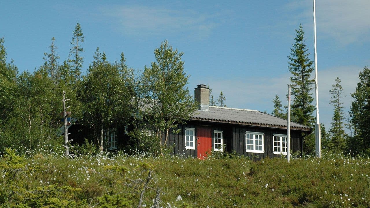 Lang sort hytte med rød inngangsdør i skogen en nydelig sommerdag.