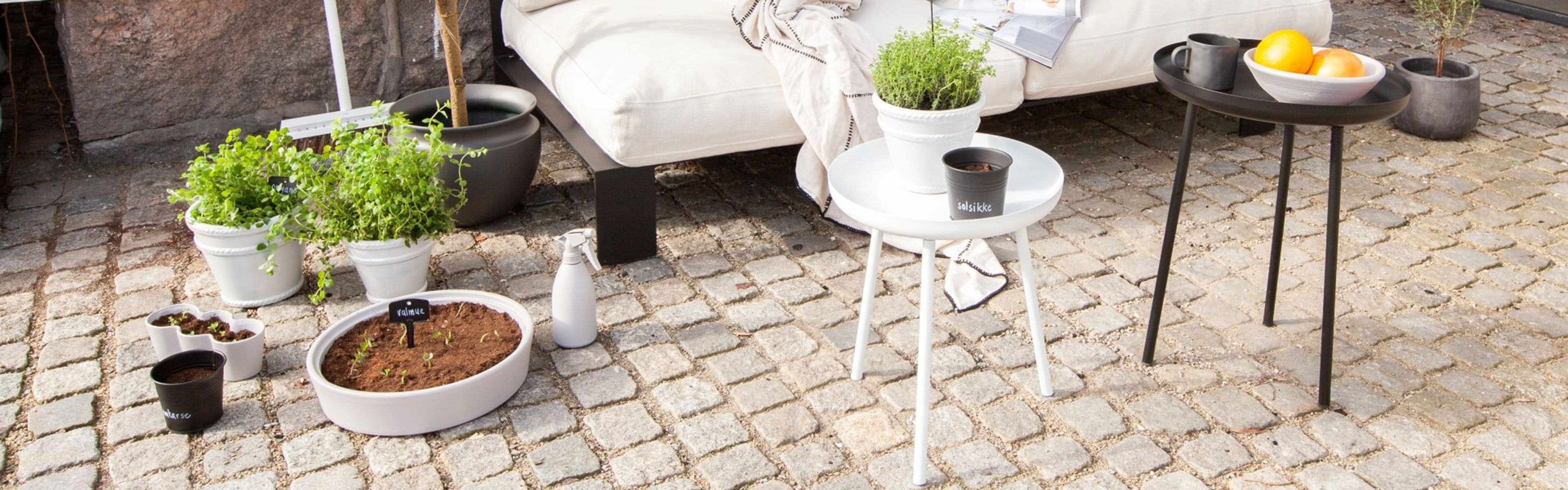 Mann i XL-BYGG klær bærer planker